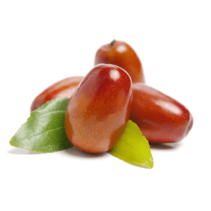 ZIZIPHUS JUJUBA - GIUGGIOLO CINESE (VAR. LANG)