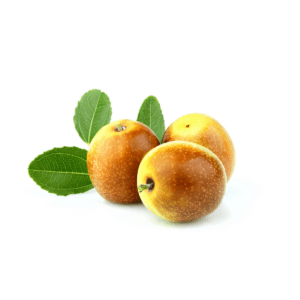 ZIZIPHUS JUJUBA - GIUGGIOLO CINESE (VAR. LI)